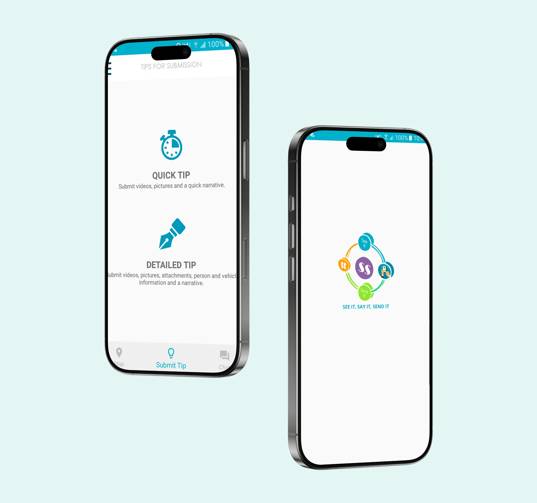 See It Say It project image 3