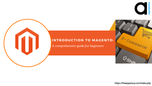  dedicated Magento developer
